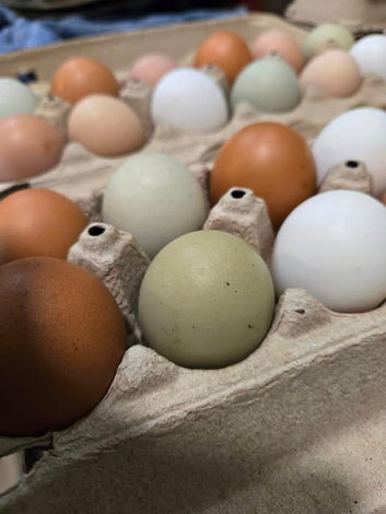 Eggs